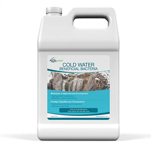 Water Beneficial bacteria